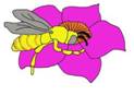 bee working 5