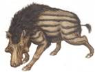 evol Archerotherium