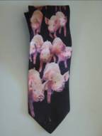 pig tie 37