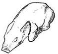 http://www.vetmed.iastate.edu/departments/vdpam/swine/healthmgt/air/lyingpatterns/image004.jpg