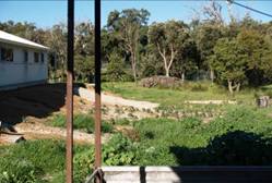 Farm outside melon 2