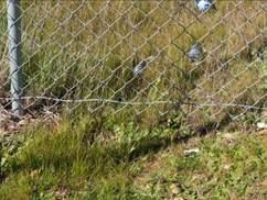 Sec fence not into ground au