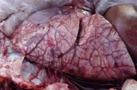 허종석2003_1103_150812AA