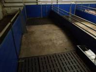 Floor finish raised gr