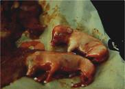 Repro Aborted piglets