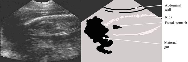 repro draw 86 day pic label.jpg