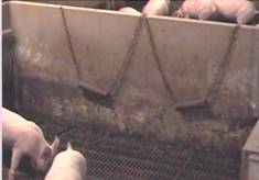 Toys%20chains%20vice%20weaners