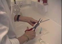 AI preparing sembag distribution 1