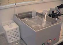 AI lab water bath with diluent 