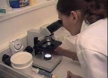 AI checking motility microscope 