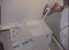 AI adding diluent to sembag