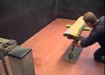 AI checking dummy sow