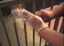 AI over glove on hands