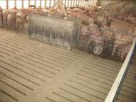 Pig flow empty pen