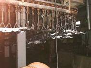 Abattoir ch 1