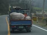 transport pig k1