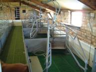 Farrowing design\Far crate general 2.JPG