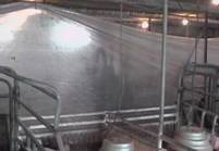 Security pressure washing behind screen