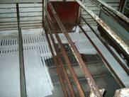 Limewashing farrowing2