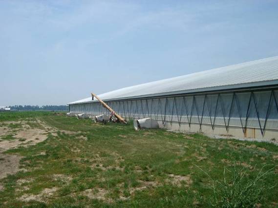 Grower curtain building1 tunnel