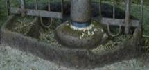 feeder (2)\P9117641.JPG