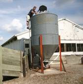 Feed bin checking us