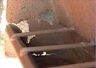 Feed broken feeder