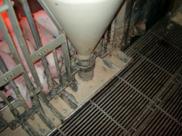 Feeder overful nursery 3 kr