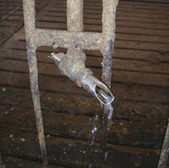 Water drinker turned leaking