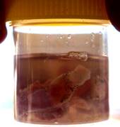 PM sample 7