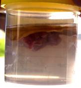 PM sample 11 float