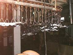 Abattoir ch 1