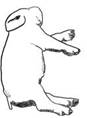 http://www.vetmed.iastate.edu/departments/vdpam/swine/healthmgt/air/lyingpatterns/image014.jpg